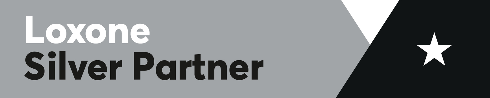 Loxone_Logo-Partner_Silver_2019.jpg